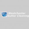 Westchester Gutter Cleaning