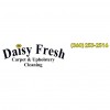 Daisy Fresh Carpet Cleaning