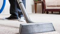 Carpet Cleaning Services