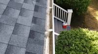 Gutter Cleaning Services