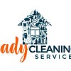 Lady Cleaning